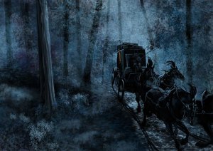 Carriage in the dark woods